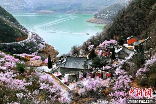 甘肅平?jīng)鍪惺侵袊鴥?yōu)秀旅游城市。圖為平?jīng)鲠轻忌较率锾一ㄊ㈤_。(資料圖) 平?jīng)鍪形麄鞑抗﹫D