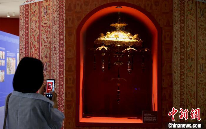 觀眾拍攝展品 張暢 攝 觀眾拍攝展品 張暢 攝