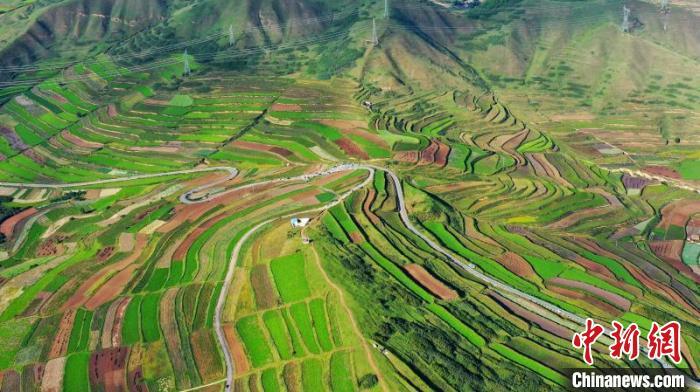 秋日里，榆中縣馬坡鄉(xiāng)千畝梯田，不同農(nóng)作物漸趨成熟，呈現(xiàn)出多種色彩，宛若大地的“調(diào)色盤”?！圆?攝