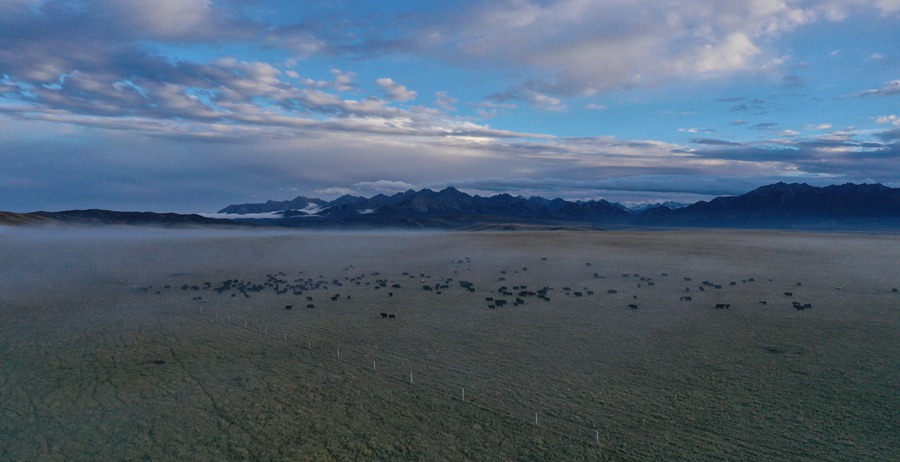 甘肅山丹馬場(chǎng)：峽谷云霧似仙境。 王超攝