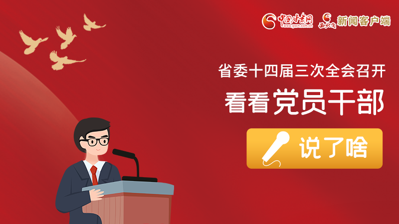 圖解|事關(guān)甘肅省委十四屆三次全會，黨員干部這么說！