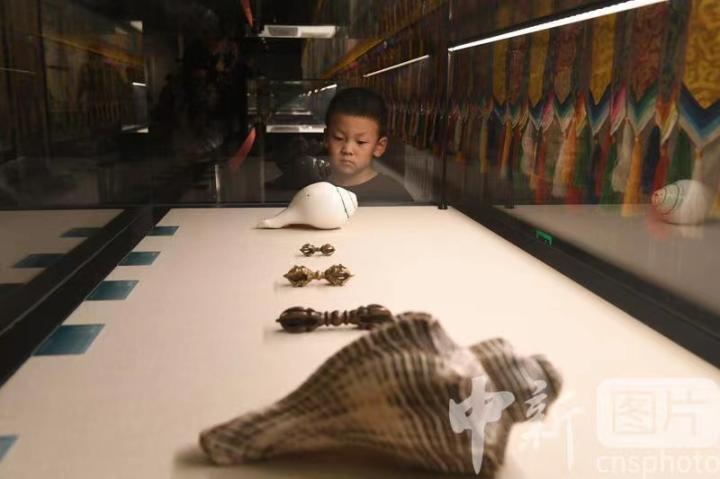 圖為展出的“白海螺法器”吸引小觀眾。 中新社記者 戴文昌 攝