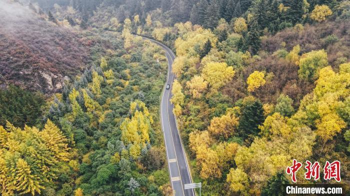 深秋，航拍位于蘭州市榆中縣的興隆山，景色如畫。金峯 攝</p>
<p>