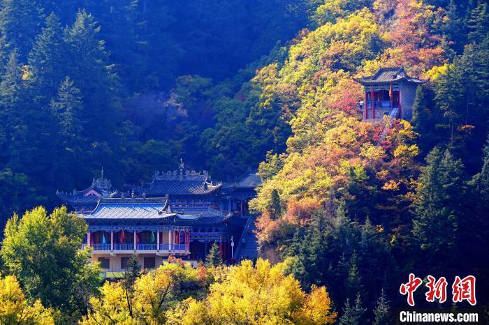 深秋，位于蘭州市榆中縣的興隆山景色如畫。宮衛(wèi)紅 攝