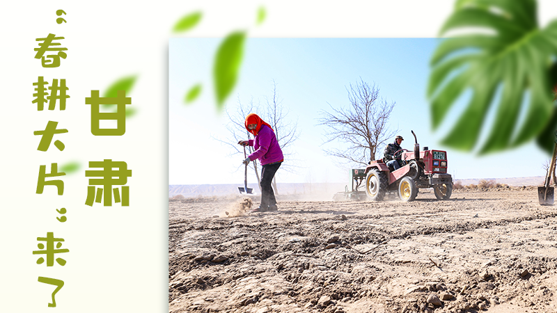 【甘快看】海報|瞧！甘肅“春耕大片”來了