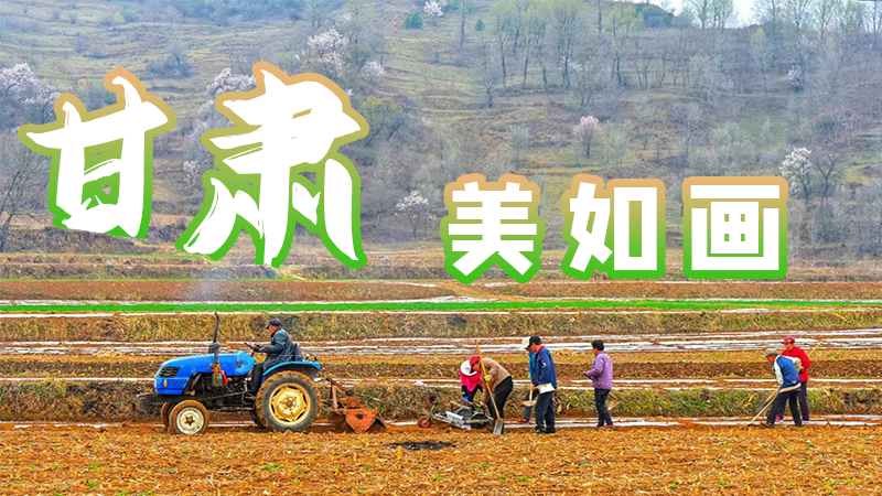 微海報|甘肅，美如畫