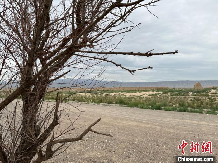 圖為位于長城墻體上的“馬面”或“敵臺(tái)”?！〈魑牟?攝