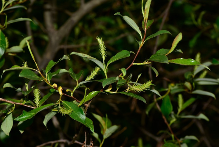 1721722282680637.jpg 26-2.jpg