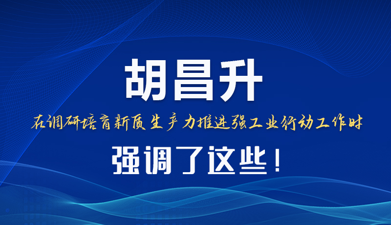 圖解|胡昌升在調研培育新質生產力推進強工業(yè)行動工作時強調了這些！