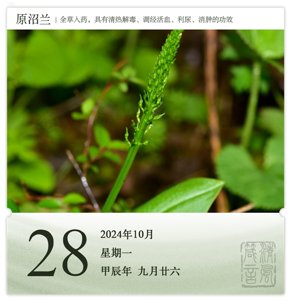 1729844358185005.png 箴歷日歷10-28.png