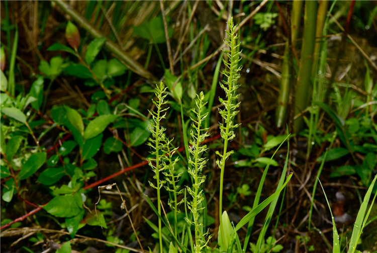 1729844409600399.jpg 28-2.jpg