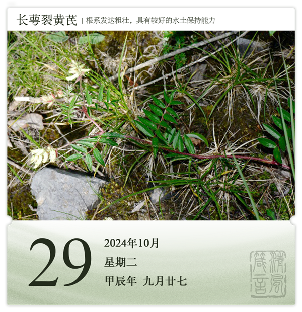 1730102925515875.png 箴歷日歷10-29.png