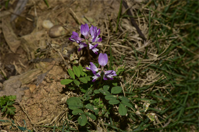 1740994877228215.jpg _DSC3112.JPG