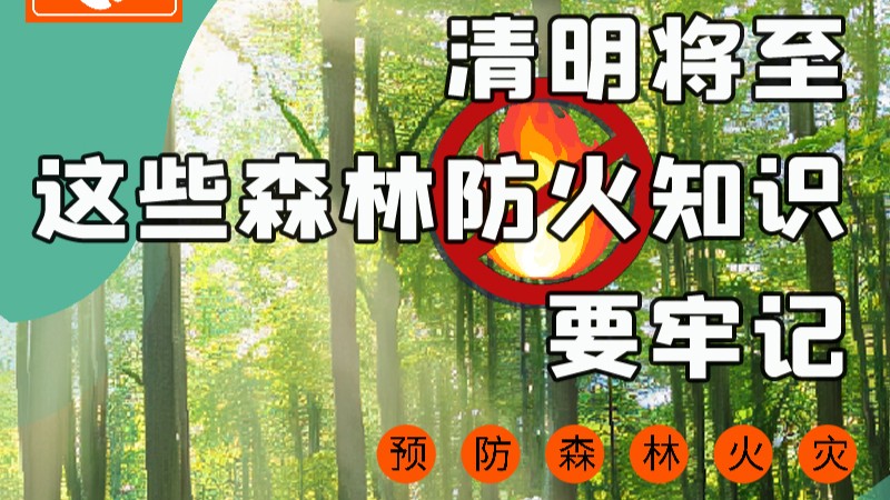 【甘快看】圖解|緊繃“安全弦”！清明，這些森林防火知識要牢記