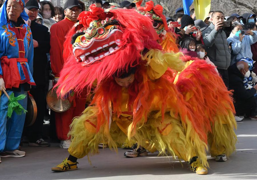 蘭州北獅表演現場。受訪者供圖