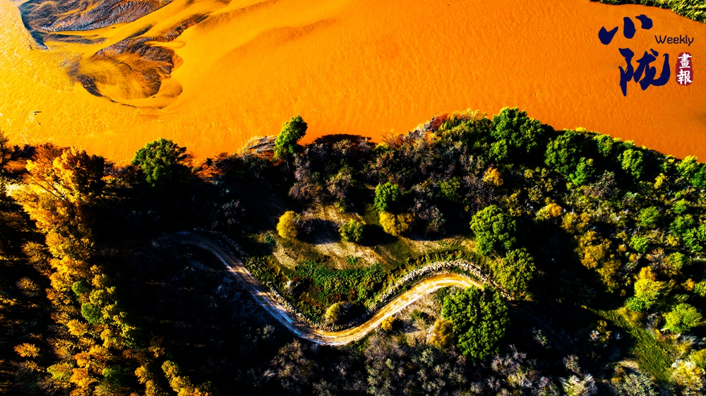 民勤 千頃濕地臥戈壁 續(xù)寫(xiě)生態(tài)新畫(huà)卷