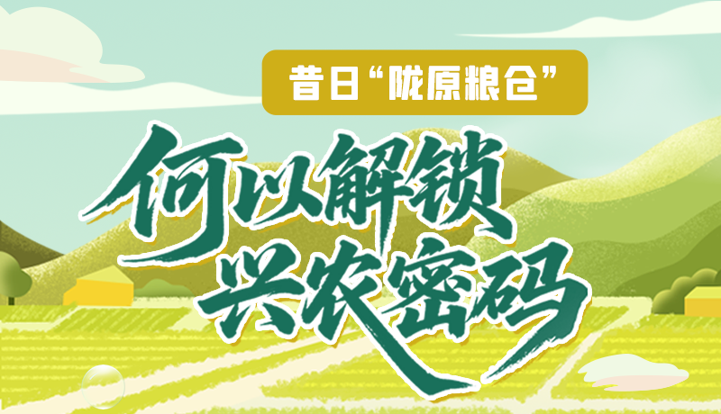 【理響中國(guó)·話隴點(diǎn)睛（3）】昔日“隴原糧倉”，何以解鎖“興農(nóng)密碼”
