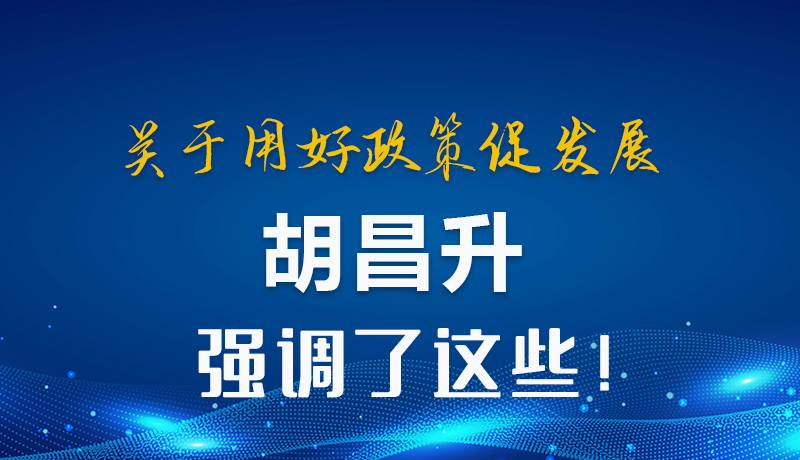 圖解|關(guān)于用好政策促發(fā)展 胡昌升強(qiáng)調(diào)了這些!